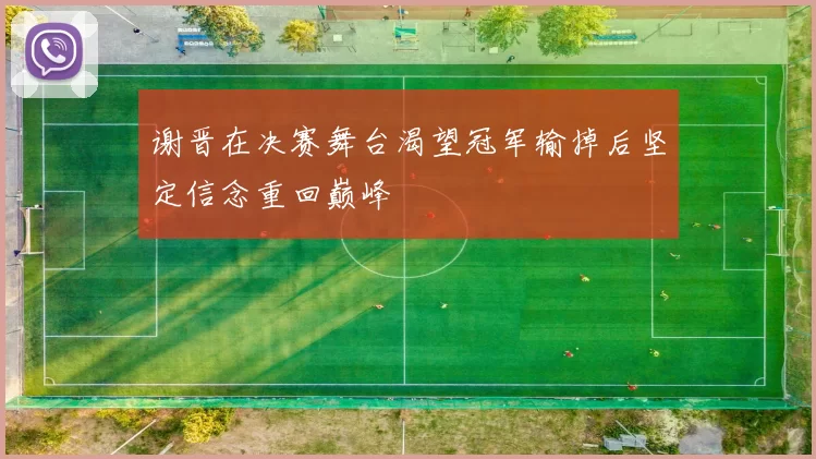 谢晋在决赛舞台渴望冠军输掉后坚定信念重回巅峰